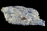 Vibrant Blue Kyanite Crystal With Quartz - Brazil #97960-1